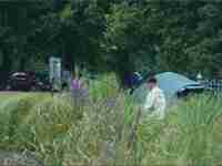 The wild wet grasses at eagle pond with a fisherman in the background in front of his tent.