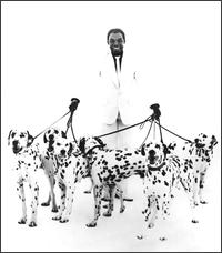 Photograph of Desmond Dekker with 6 dalmation dogs on a lead