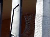 7th of 12 photographs taken by Stephen Bennett of the Orangery at the Notre Dame Estate. The Orangery is the last vestige of the Stately Home of Sir Henry Thornton and may become one of the most popular venues for Cla'am Fest. This shows the wire fence surrounding the structure